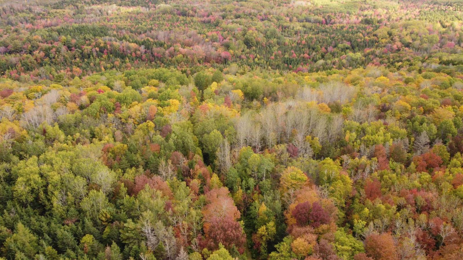 103.4 acres on the West Moose River, Guinea NS, photo 8