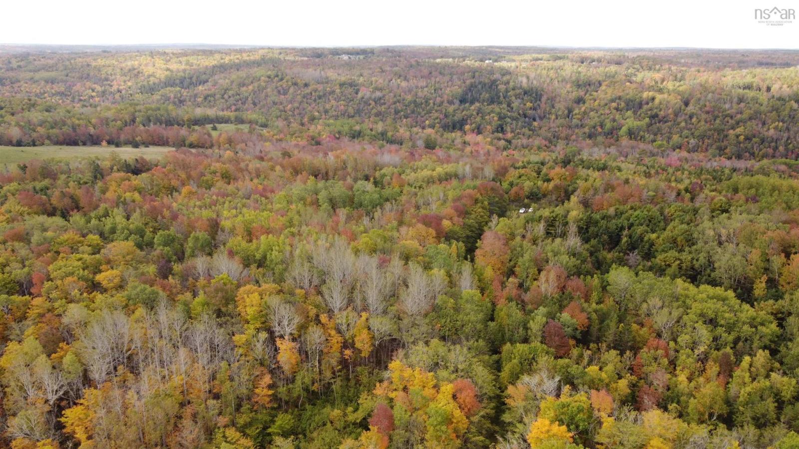 103.4 acres on the West Moose River, Guinea NS, photo 4
