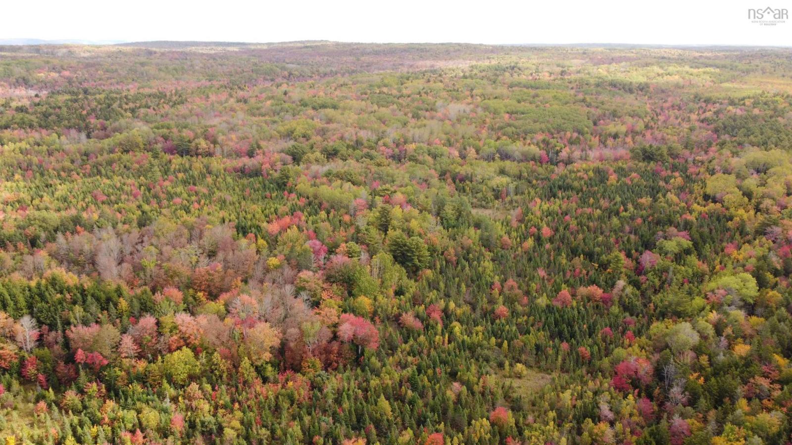 103.4 acres on the West Moose River, Guinea NS, photo 5