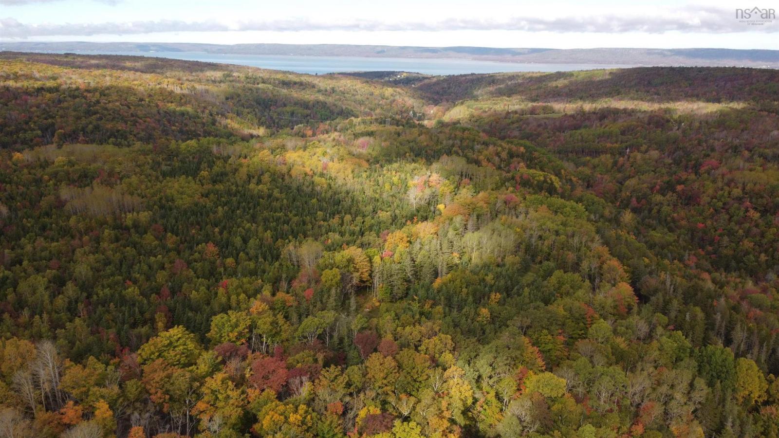 103.4 acres on the West Moose River, Guinea NS, photo 2