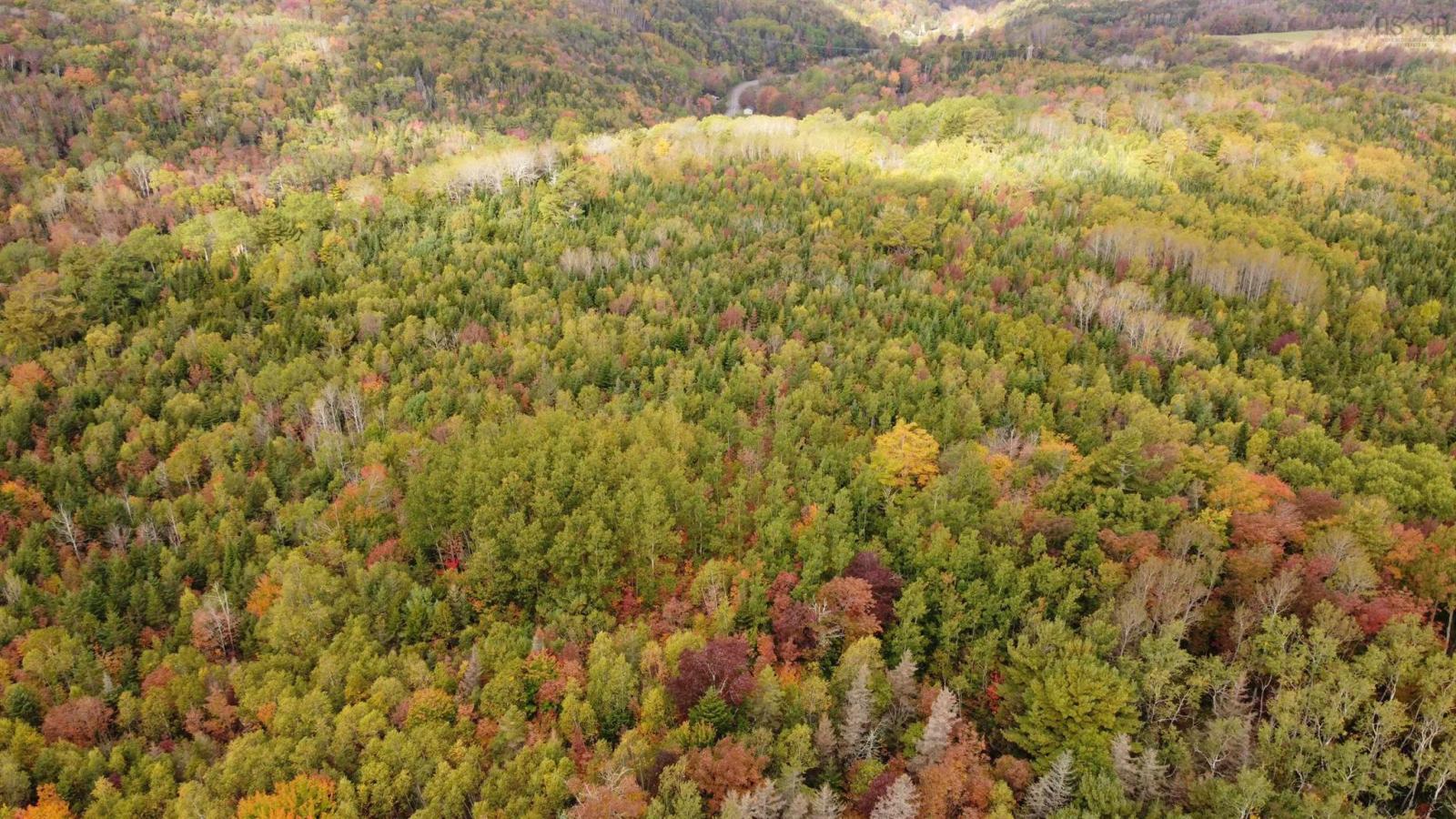 103.4 acres on the West Moose River, Guinea NS, photo 6