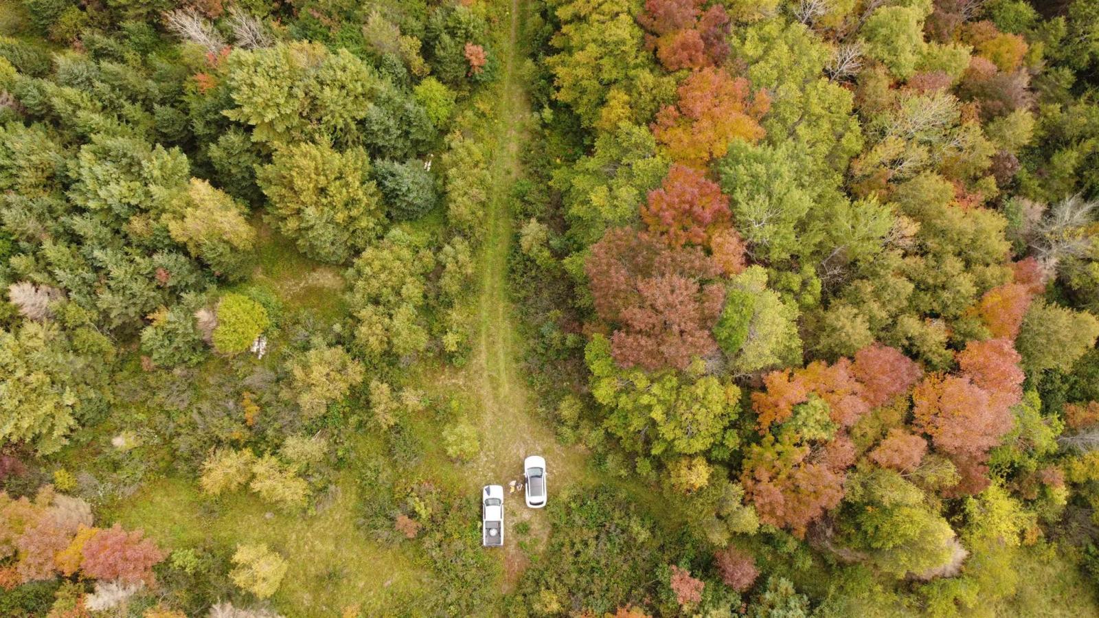 103.4 acres on the West Moose River, Guinea NS, photo 10