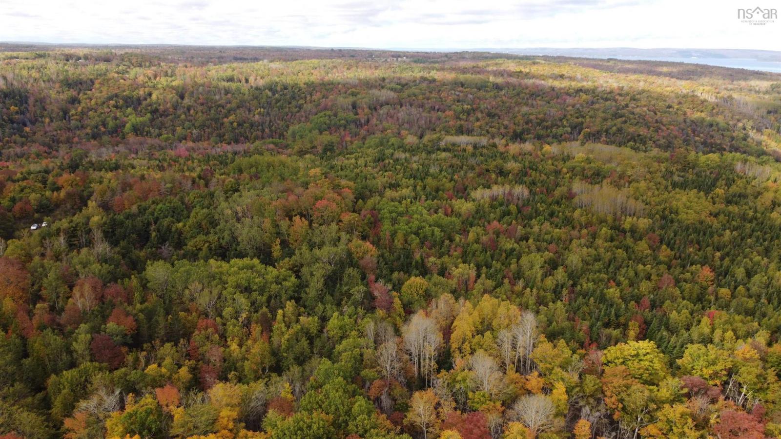 103.4 acres on the West Moose River, Guinea NS, photo 3