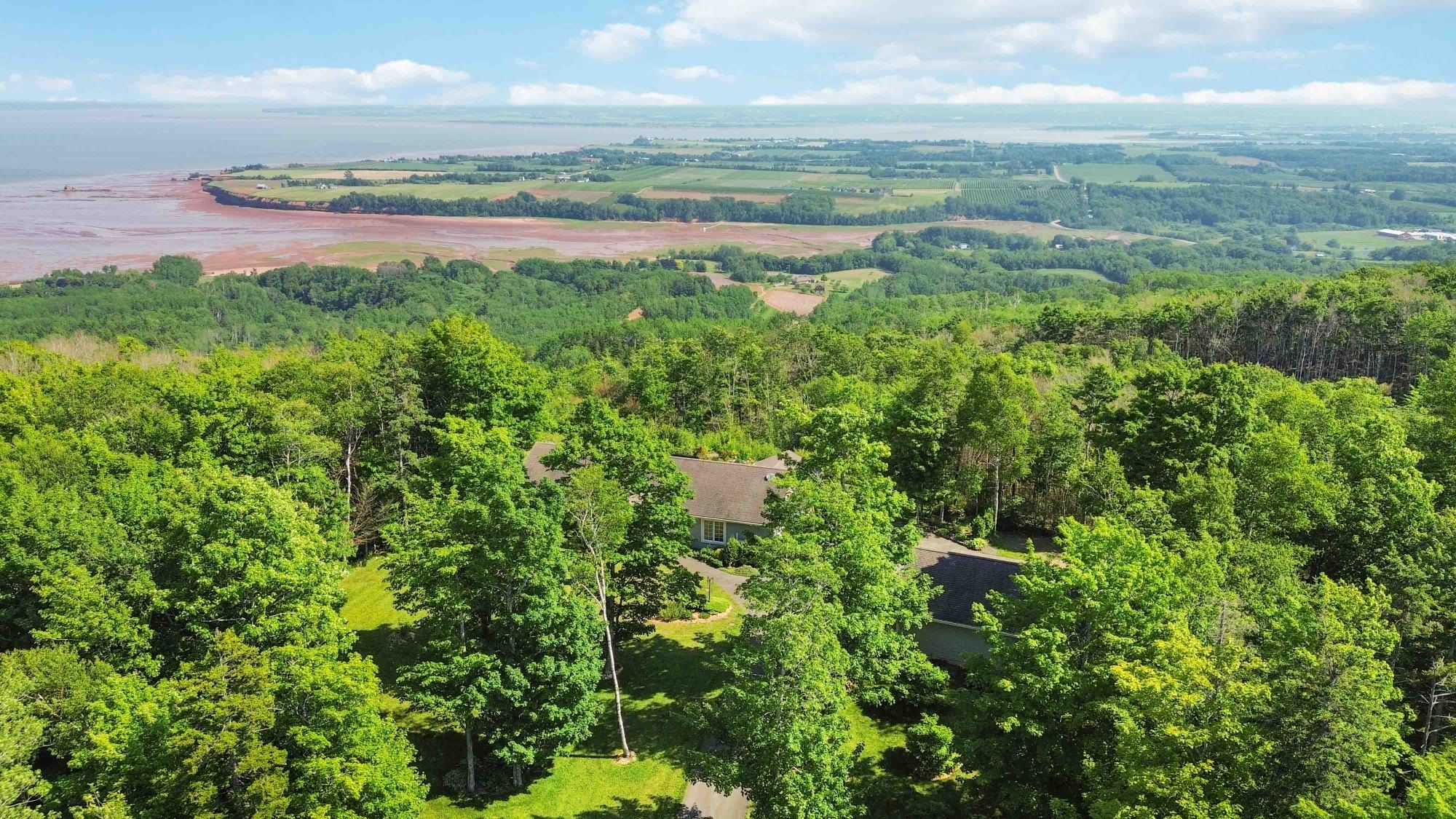 Drone photo of a wooded home lot above the Minas Basin